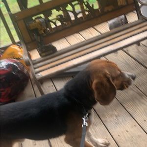 Meet your Posher, David